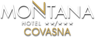 Hotel Montana Covasna